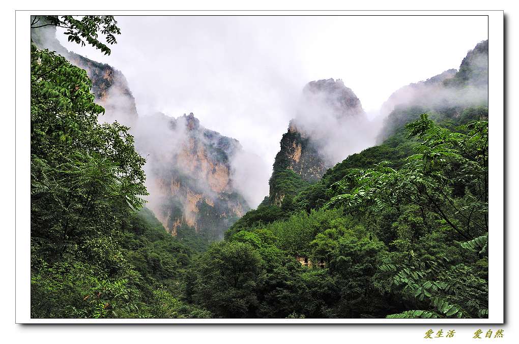 雨中的万仙山