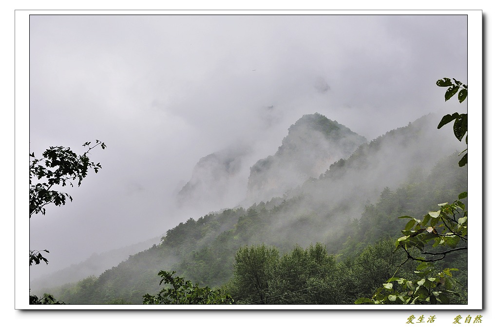 雨中的万仙山