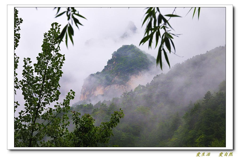 雨中的万仙山