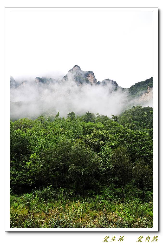 雨中的万仙山