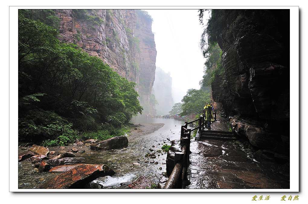 雨中的万仙山