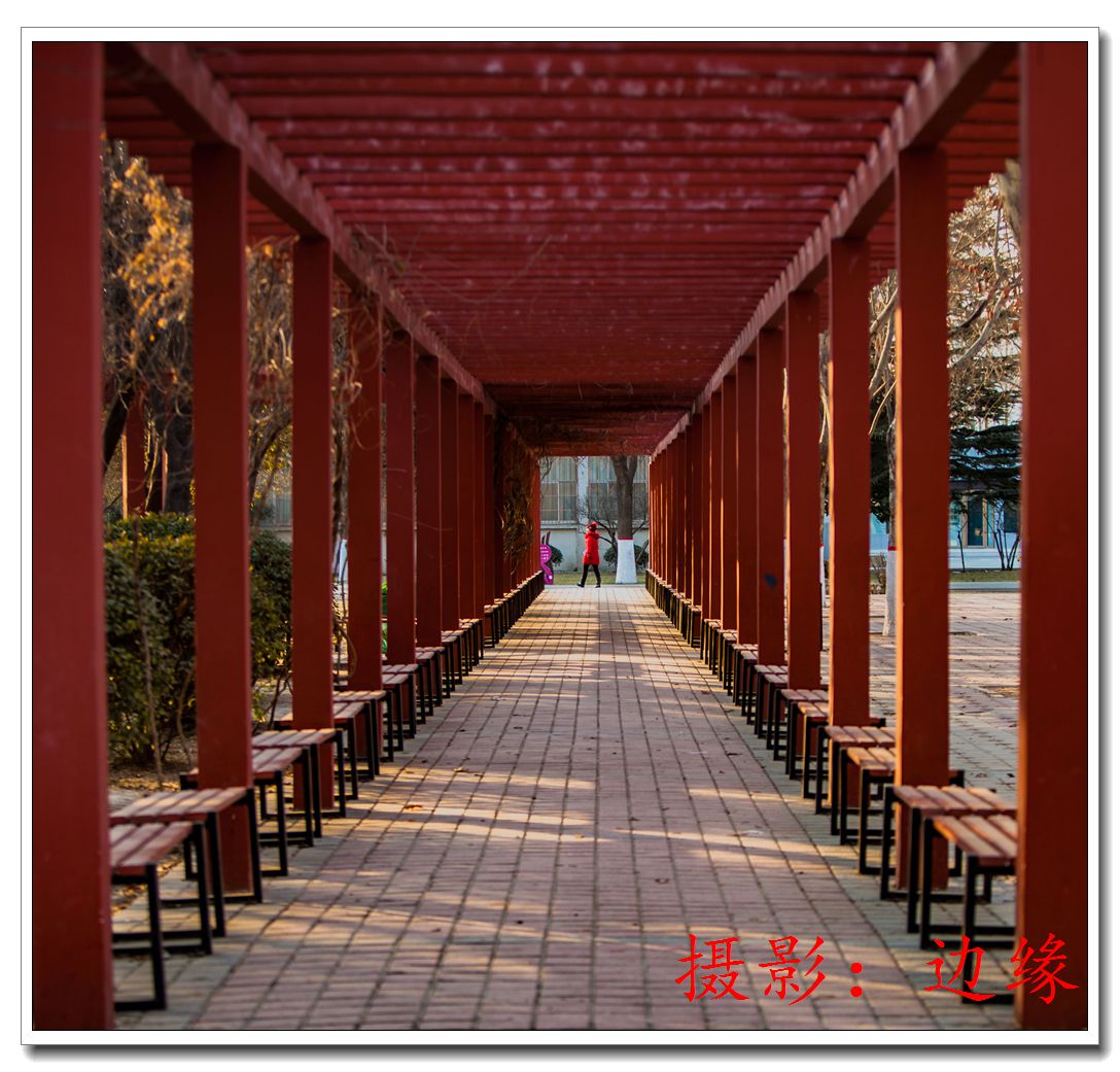 公园随拍几片