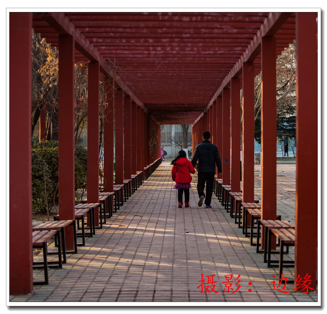公园随拍几片