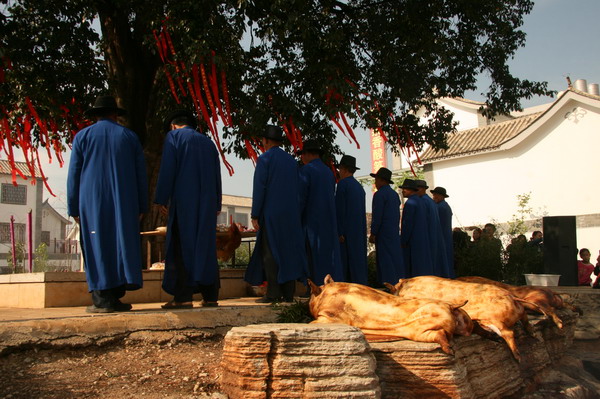 祭龙树