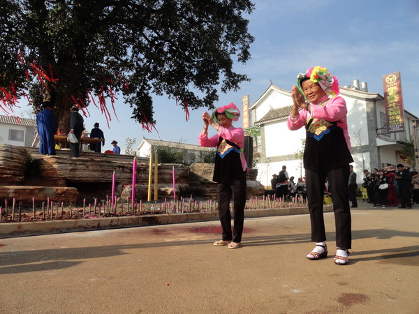 祭龙树