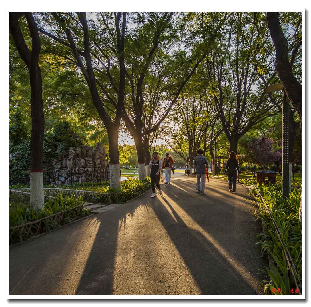 公园景色