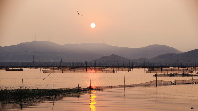 美丽东平湖